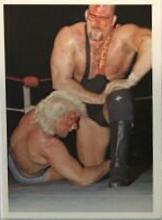 Nikita Koloff, Ric Flair #89