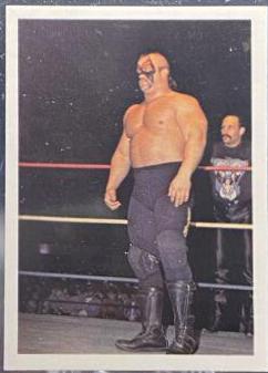 Paul Ellering #18