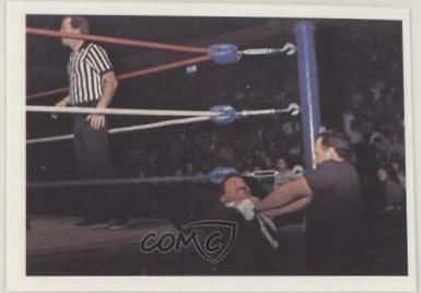 Paul Ellering #305