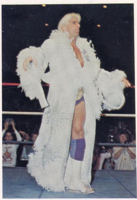 Ric Flair #1
