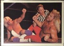 Ric Flair #162