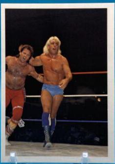 Ric Flair vs Robert Gibson #227