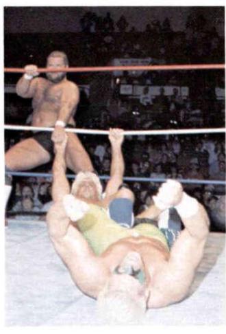 Ric Flair, Sting #48