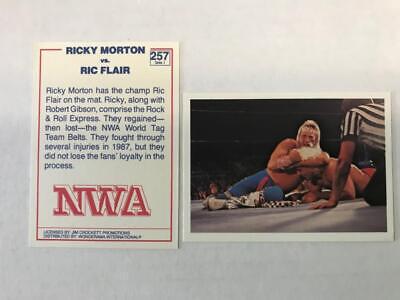 Ricky Morton vs Ric Flair #257