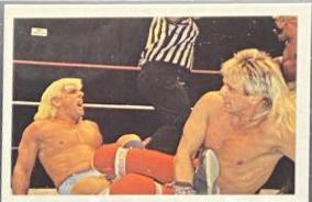Ricky Morton vs. Ric Flair #136