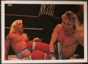 Ricky Morton, Ric Flair #154