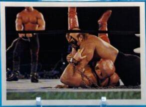 Road Warrior Animal #196