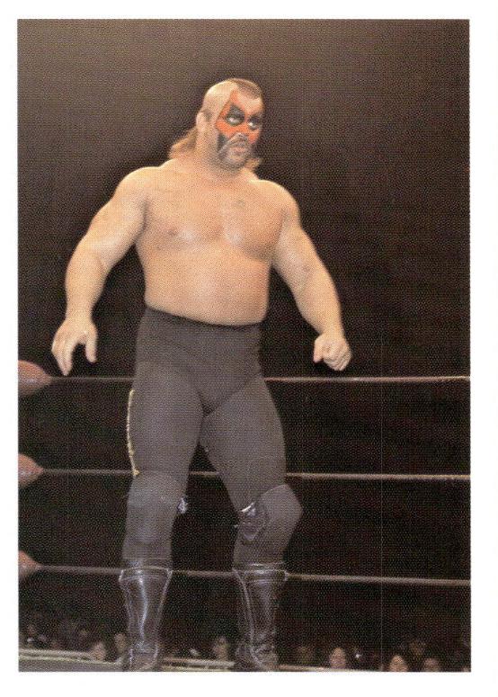 Road Warrior Animal #327