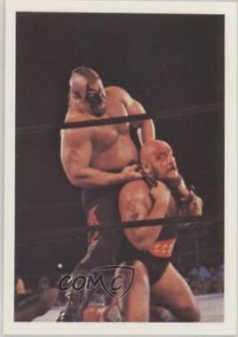 Road Warrior Animal, Ivan Koloff #170