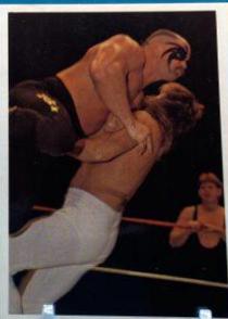 Road Warrior Hawk #159