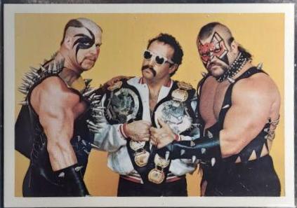 Road Warriors & Paul Ellering #341