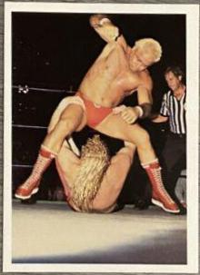 Ron Garvin #148