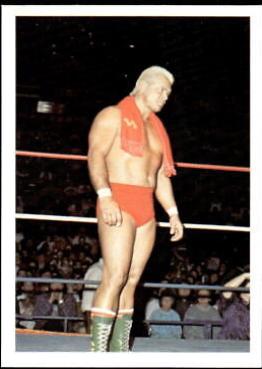 Ron Garvin #172