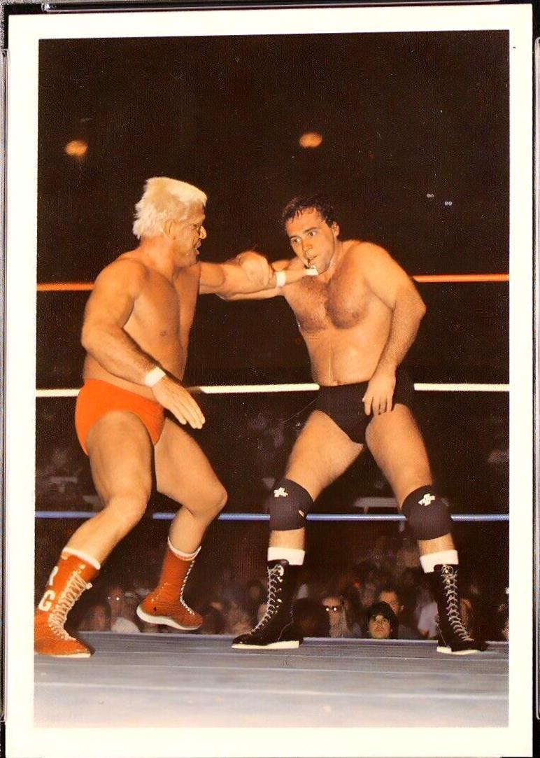 Ron Garvin #65