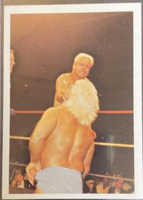 Ron Garvin vs Ric Flair #252