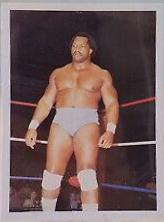 Ron Simmons #173