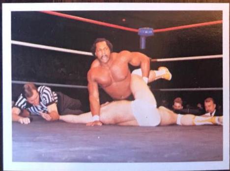 Ron Simmons #232