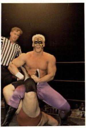 Sting #102