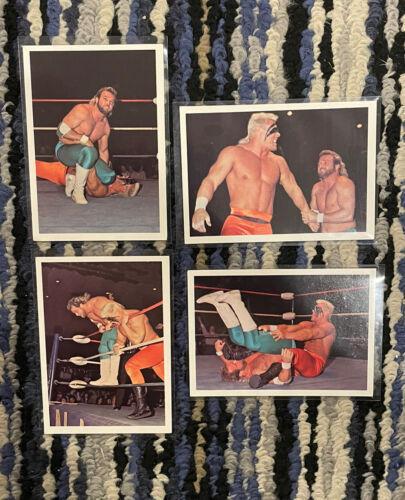 Sting vs Eddie Gilbert #317