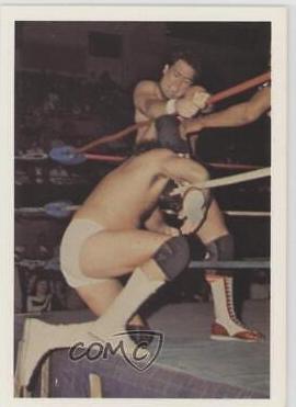 Tully Blanchard #111