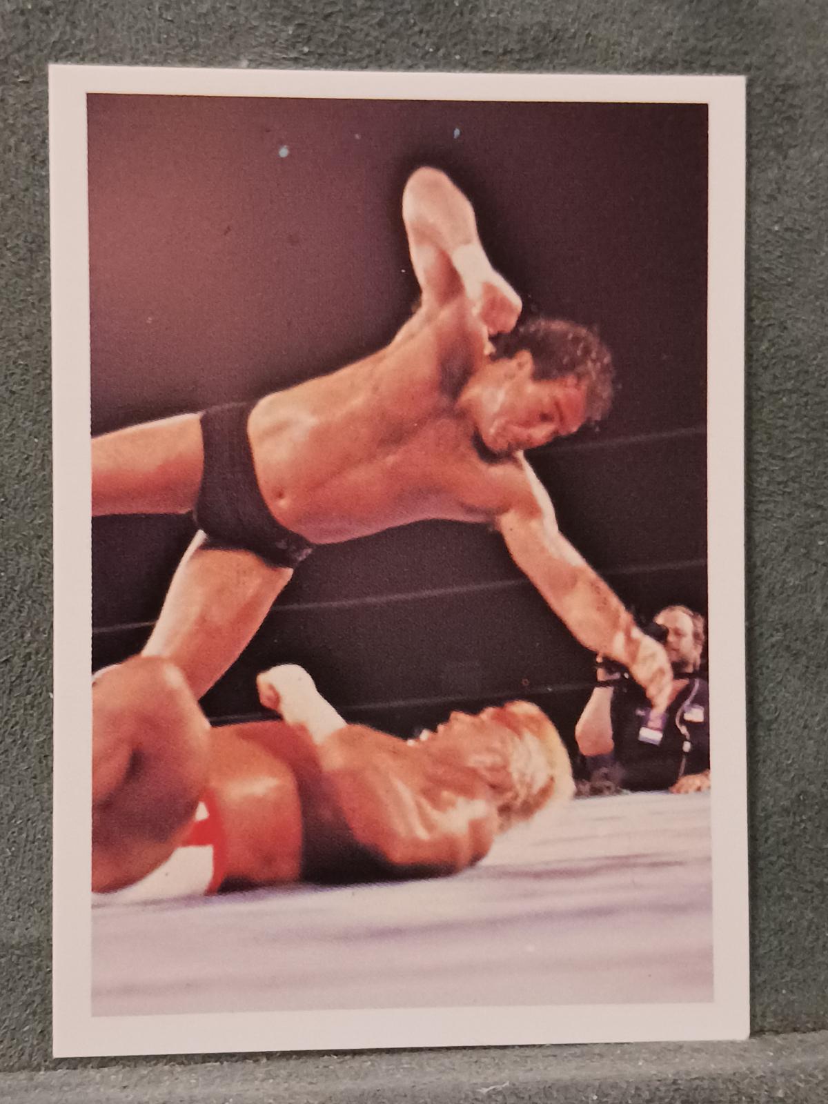 Tully Blanchard #202