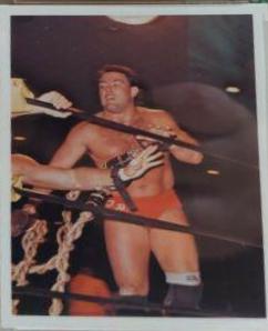 Tully Blanchard #332