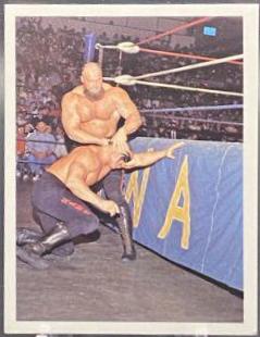 Warlord vs Road Warrior #333