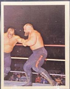 Warlord, Road Warrior Animal #290
