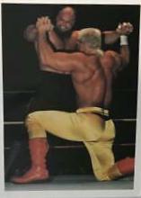 Warlord, Sting #153
