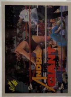 Andre the Giant #140