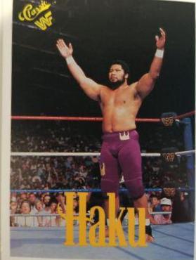 Haku #120