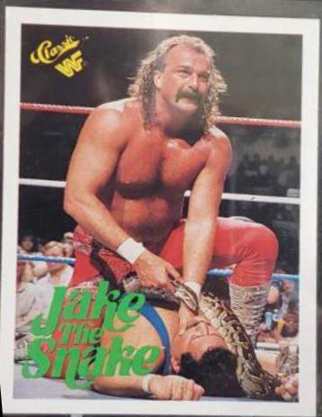 Jake 'The Snake' Roberts #108