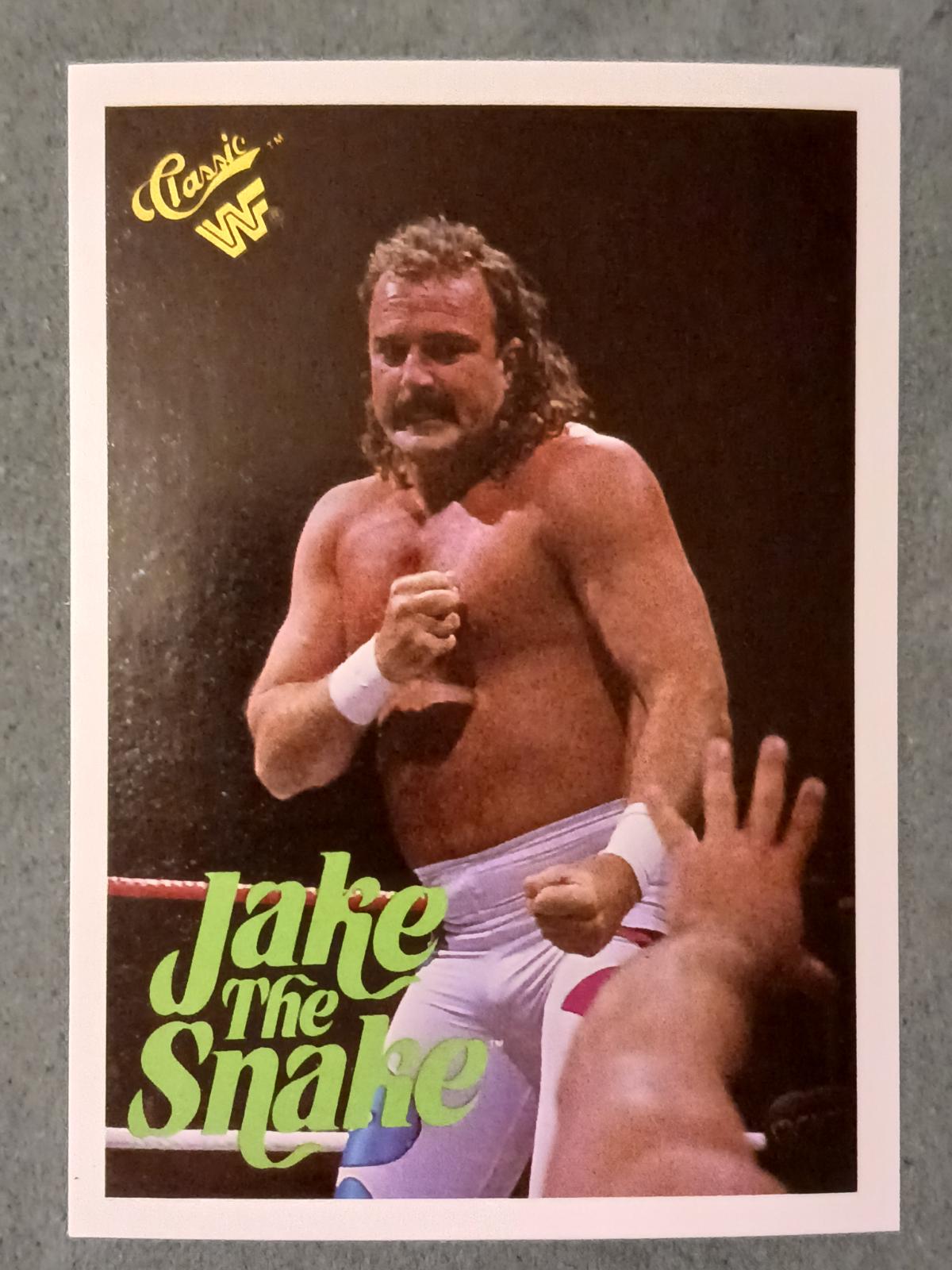 Jake 'The Snake' Roberts #63