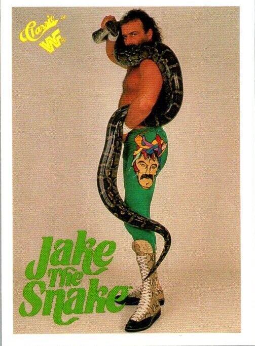 Jake 'The Snake' Roberts #7