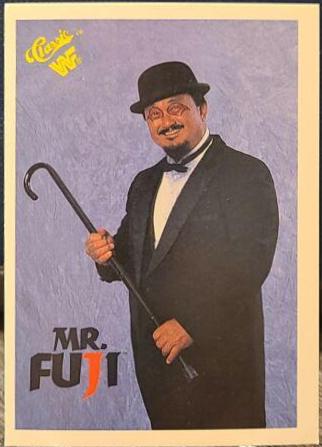 Mr. Fuji #22