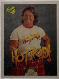 Rowdy Roddy Piper #13