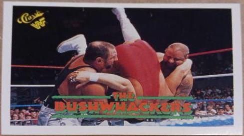 The Bushwhackers #141