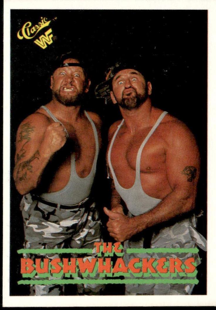 The Bushwhackers #15