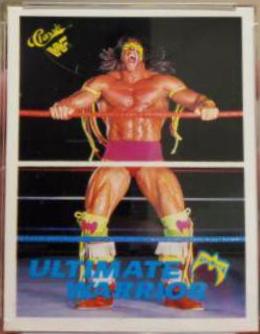 The Ultimate Warrior #147