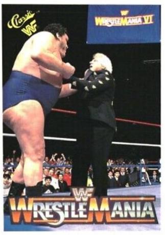 Andre the Giant, Bobby 'The Brain' Heenan #141