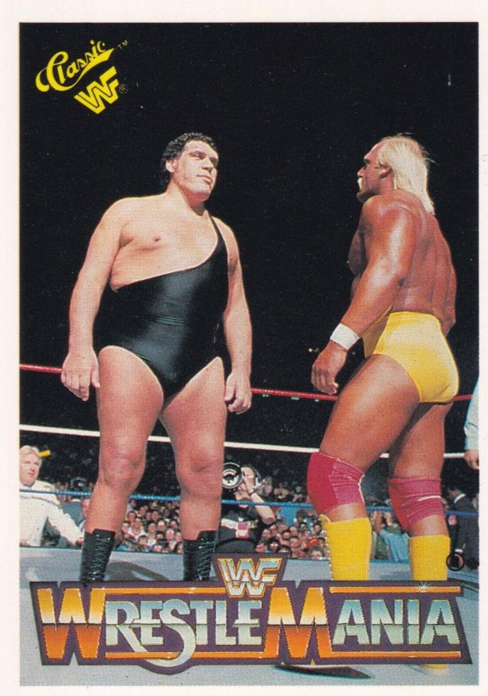 Andre the Giant, Hulk Hogan #19