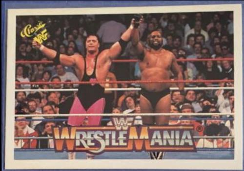 Bret 'Hitman' Hart, Bad News Brown #70