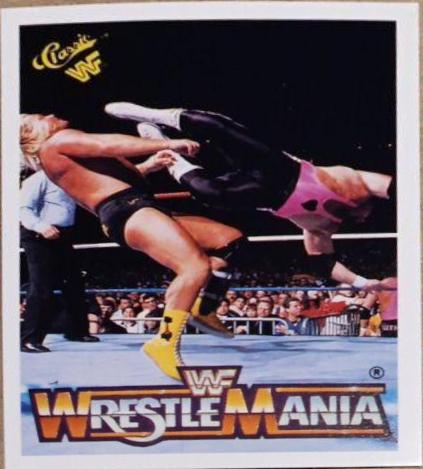 Bret 'Hitman' Hart, Greg 'The Hammer' Valentine #87