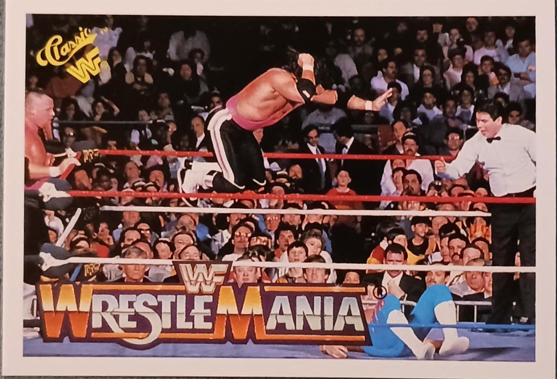 Bret 'Hitman' Hart, Honky Tonk Man #79