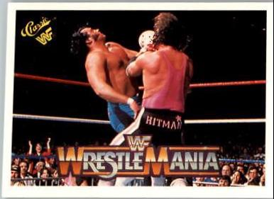 Bret 'Hitman' Hart, Honky Tonk Man #88