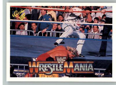 Brooklyn Brawler #80