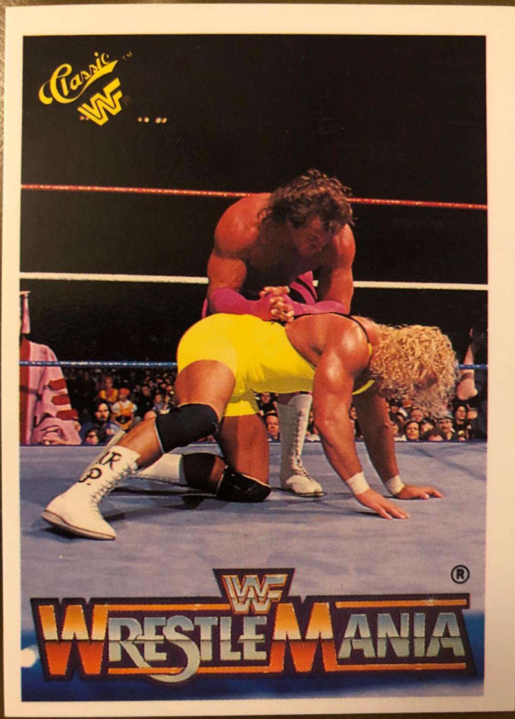 Brutus 'The Barber' Beefcake, Mr. Perfect #144