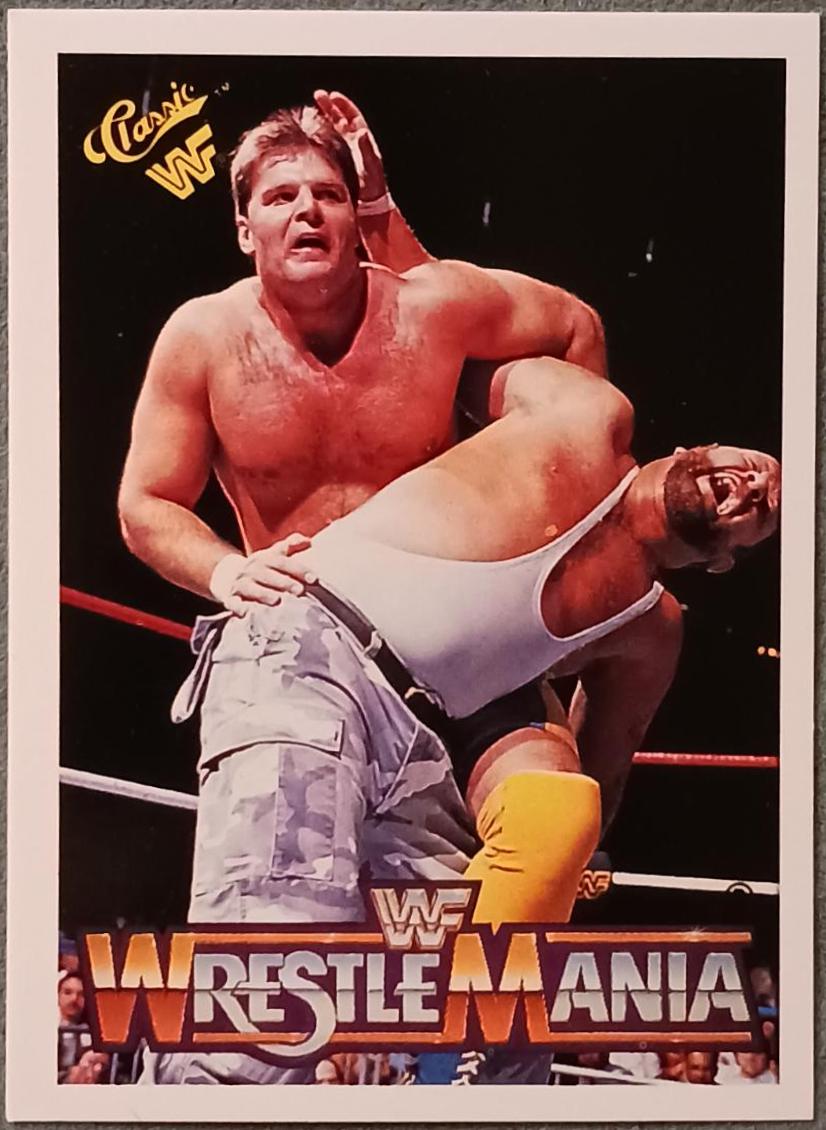 Bushwhackers, Rougeau Brothers #91