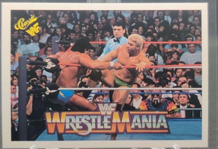 Dino Bravo, Don Muraco #59