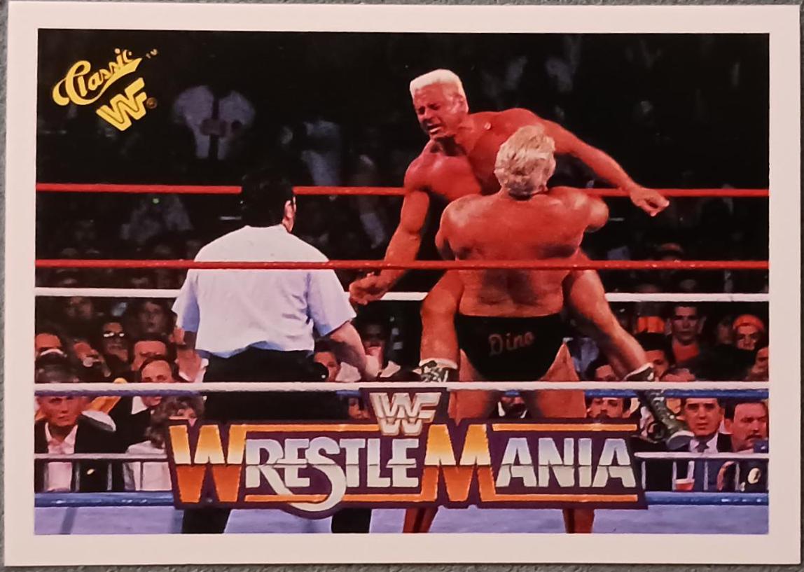 Dino Bravo, Ronnie Garvin #84